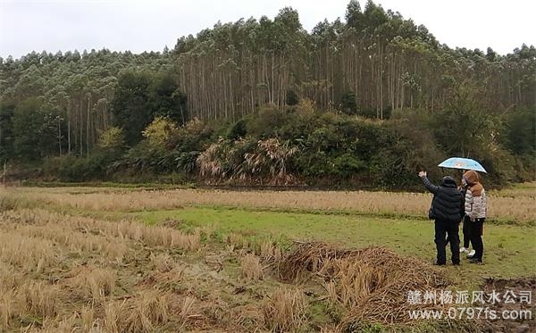 阜新市陈老师带着爱徒寻龙点穴